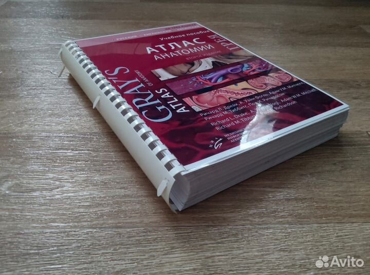Атлас анатомии Грея