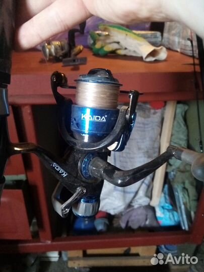 Кайда импульс 2