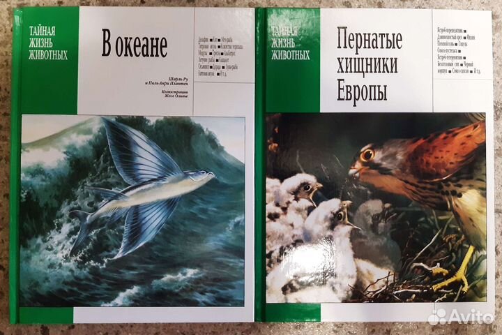 Книги энциклопедии 