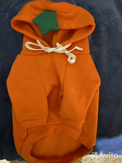 Костюм на собаку