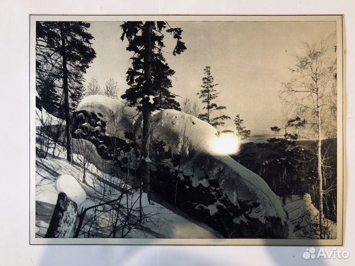 Фотокартина металл