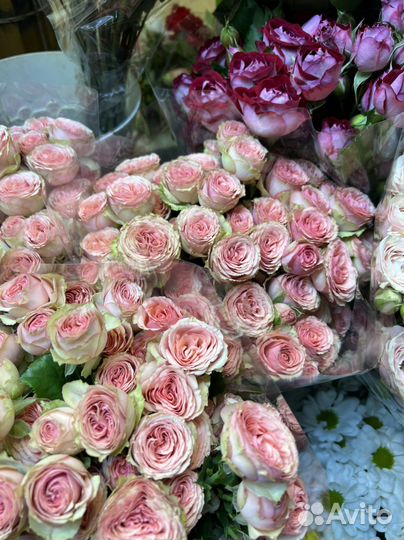 Пионовидные кустовые розы