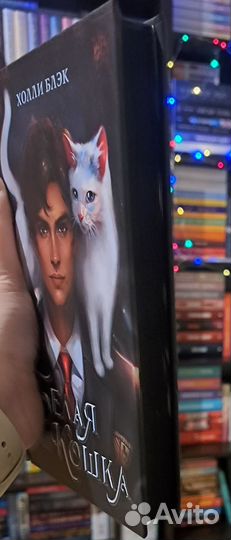 Белая кошка