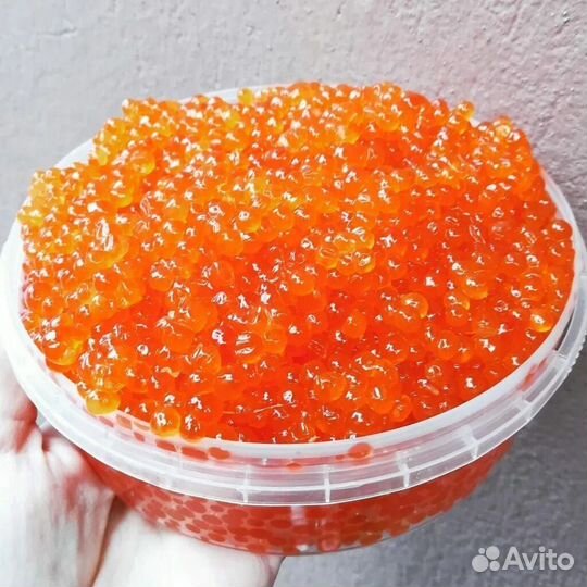 Икра красная горбуши 2023