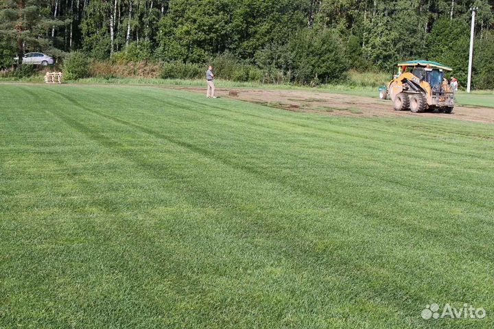 Рулонный газон, укладка, продажа