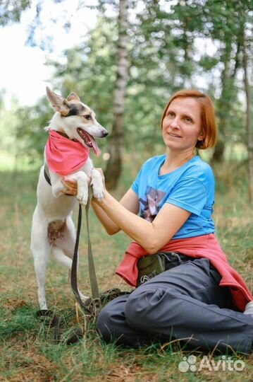 Щенок в добрые руки бесплатно