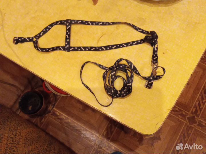 Шлейка для кошек