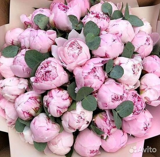 Пионы Розы Доставка