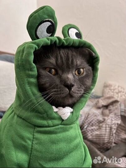 Кофта для кошек и собак