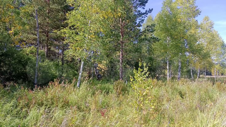 Участок 15 сот. (ИЖС)