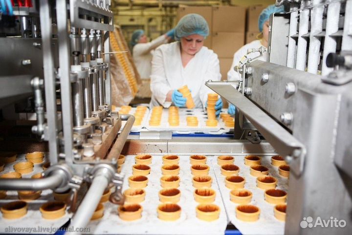 Упаковщица мороженого