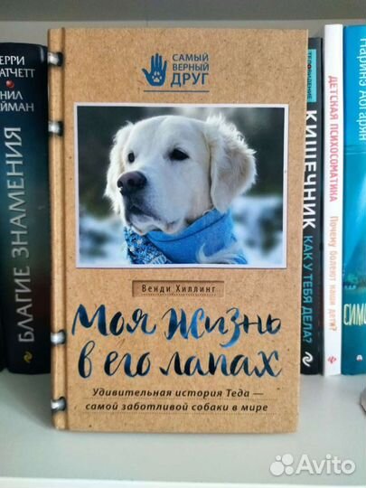 Моя жизнь в его лапах