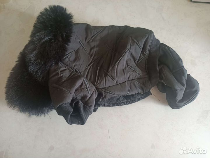 Одежда для маленьких собак