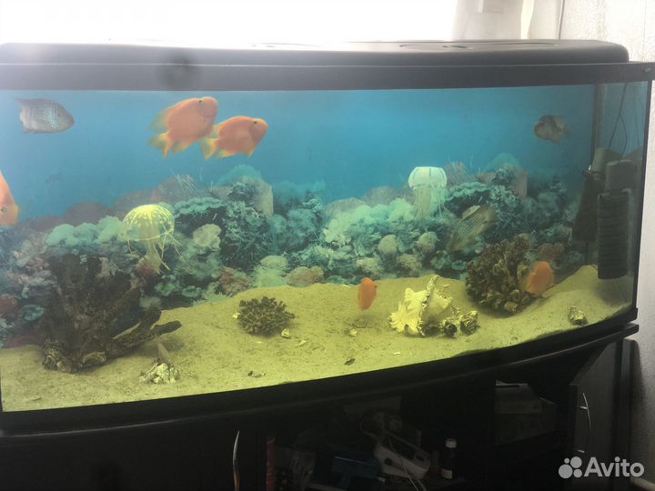 Аквариум с тумбой 400 литров