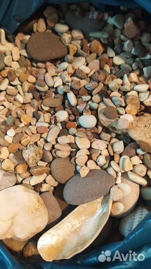 Грунт для аквариума