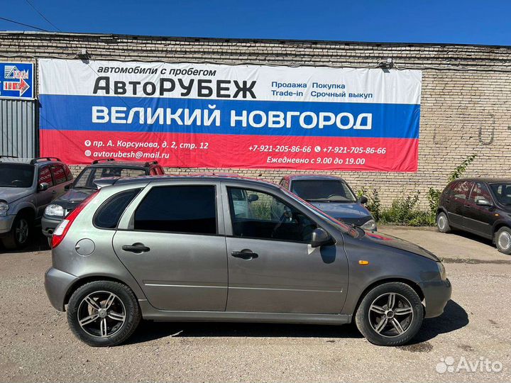 Калина новгород