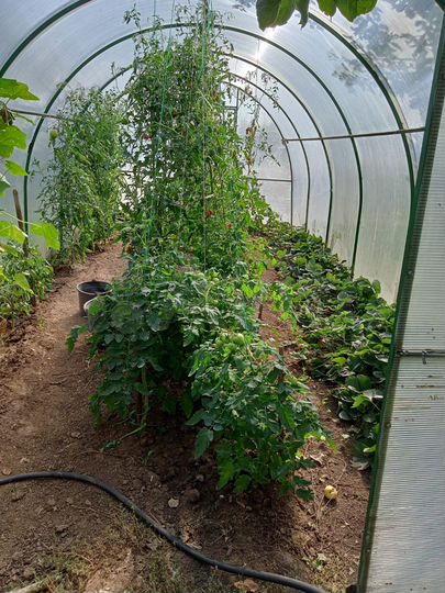 Дом 103,7 м² на участке 12 сот.