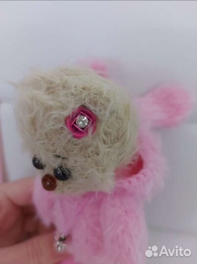 Зайцы с капюшонами, могут сидеть