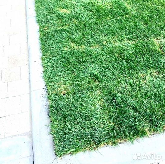 Рулонный газон
