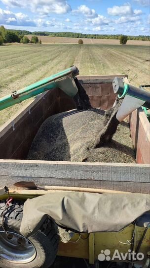 Услуги самосвала маз