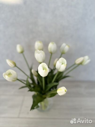 Новые тюльпаны силикон