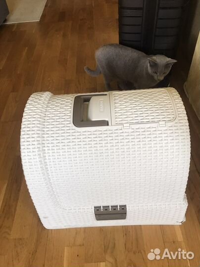 Домик туалет для кошки Curver белый