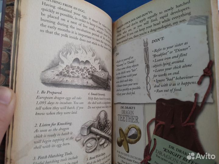Bringing up baby dragons книга о драконах англ яз