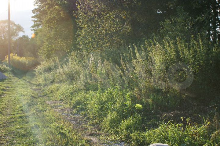 Участок 10 сот. (СНТ, ДНП)