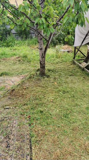 Участок 7 сот. (ИЖС)