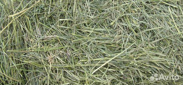 Сено в мешках