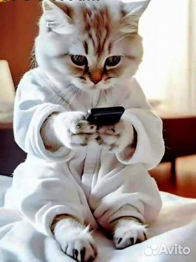 Ветеринарные услуги