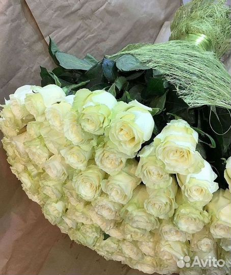 Высокие розы Гигантские розы Доставка цветов