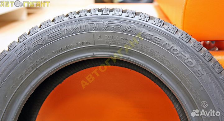 Maxxis NP5 Premitra Ice Nord 175/70 R14 84T