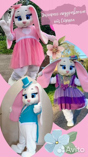 Мишка/Зайка (экспресс поздравление)