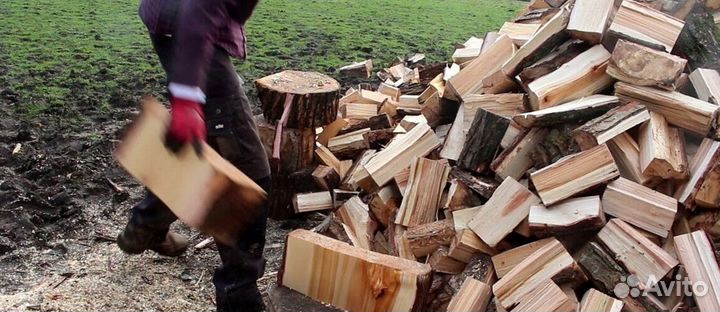 Дрова в СПБ