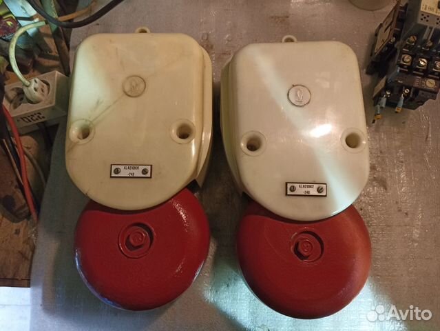 Звонок морской. Польша