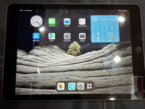 iPad 5 поколения (2017)