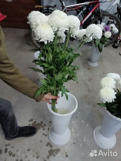 Цветы свежая срезка