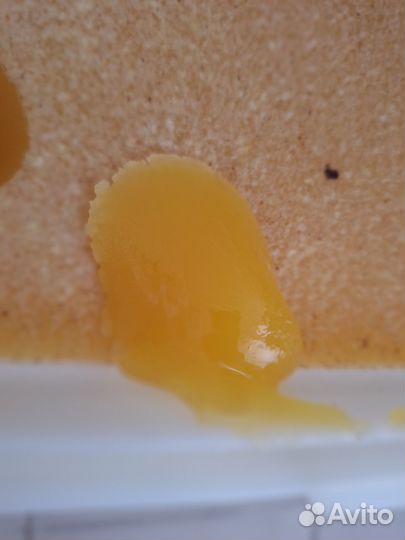 Продаю мед подсолнечный, присутствует кориандр