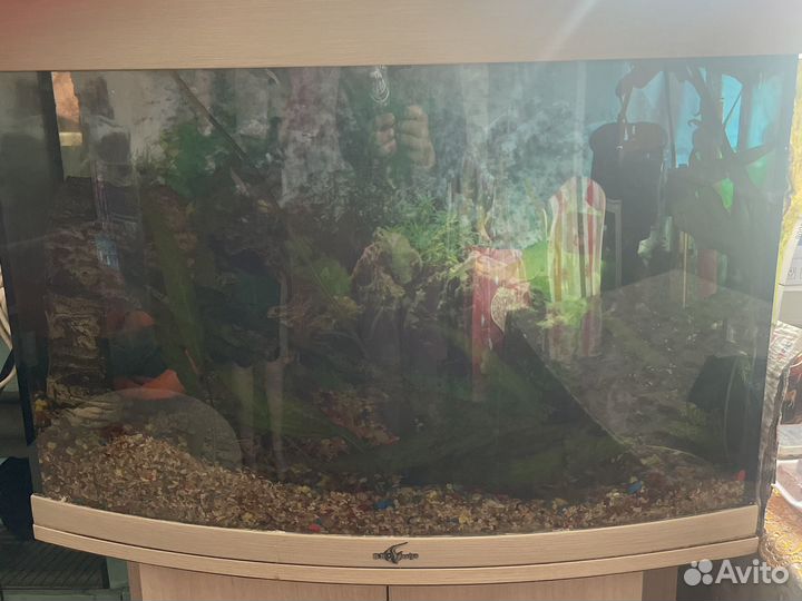 Аквариум с тумбой бу 100 литров и 300л