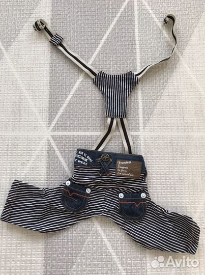 Костюм для маленьких собак