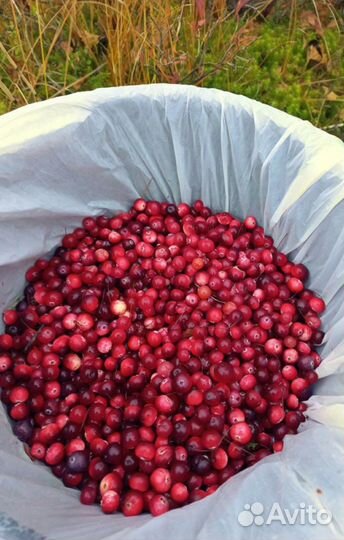 Отдых и рыбалка