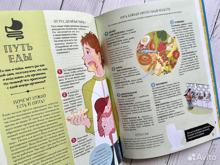 Как устроено Детские книги