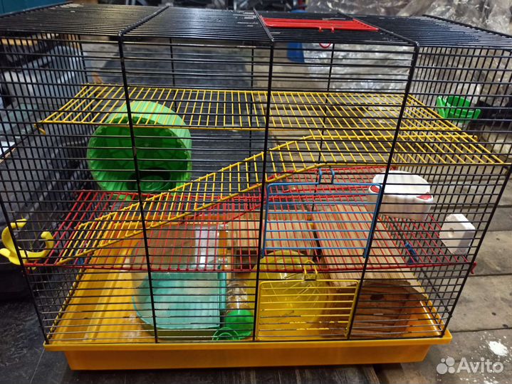 Клетки для хомяка