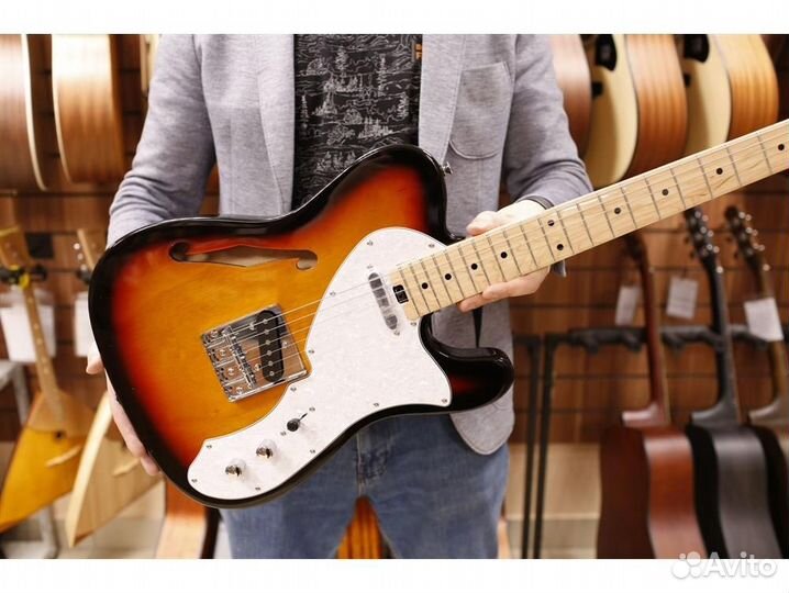 Aria TEG-TL 3TS - электрогитара телекастер с эфами