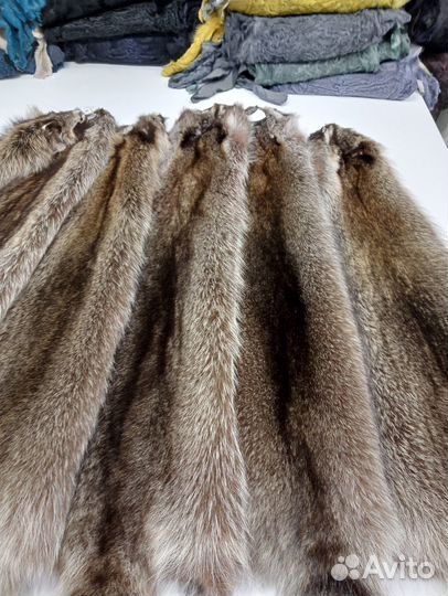 Енот-полоскун натуральный, шкурки