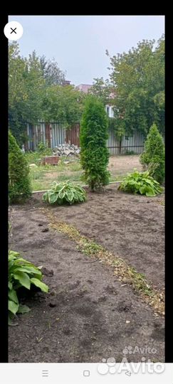 Баня сауна с бассейном