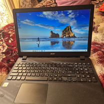 Acer extensa 2519