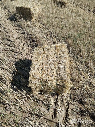 Солома в тюках с доставкой