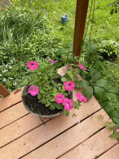 Дача 26,8 м² на участке 3,8 сот.